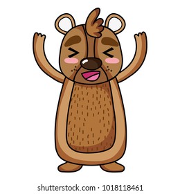 cute and glad bear wild animal