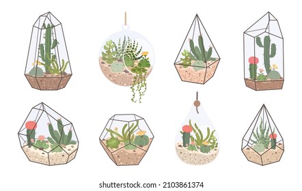 Cute glass florarium, geometric terrarium with succulents and cactus. Terrariums with tropical desert plants for home interior decor vector set. Crystal elements with houseplants in scandinavian style