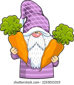Cute Gnome Cartoon Character Holds A Carrots. Vector Hand Drawn Illustration Isolated On Transparent Background