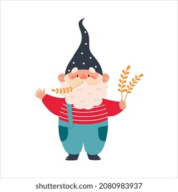 Cute Gnome Character with Beard in Pointy Hat Holding Spikelets Vector Illustration