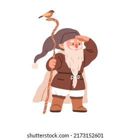 Cute gnome sorcerer with cane and bird. Fairytale bearded wizard. Fairy dwarf elf looking for smth. Old tiny magician in cap. Childish flat vector illustration isolated on white background