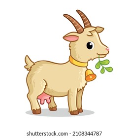 A cute goat with a bell stands on a white background and chews grass. Vector illustration with farm animal in cartoon style.