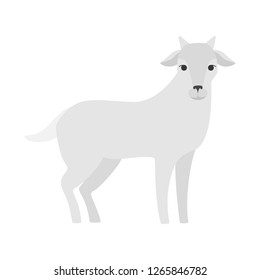 Cute goat from the farm. Domestic cattle animal with horn. Isolated flat vector illustration