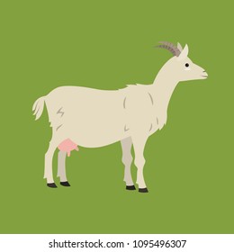 Cute goat on green background. Vector illustration.