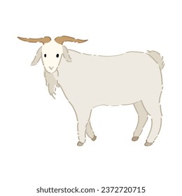 Cute goat on white background