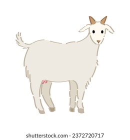 Cute goat on white background