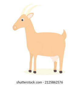 Cute goat. Pet. Vector illustration in cartoon style. Light brown fur. Udder with goat milk. Farm pets. Domestic animal. Village life. White background of card design. 