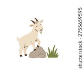 Cute goat standing on rock with green grass flat illustration scandinavian style
