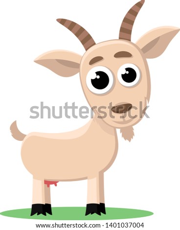Cute goat is standing on a white background. Farm animal.