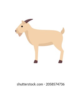 Cute goat vector flat illustration isolated on white background. Cartoon character goat farm animal.