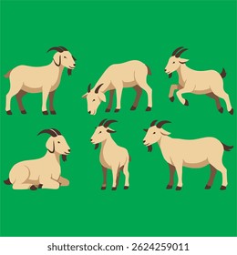 Vetor de cabra bonito definido em várias poses - ilustrações de animais de fazenda com pele branca em estilo de desenho animado minimalista. Adequado para projetos educacionais, projetos agrícolas ou temas animais bonitos.