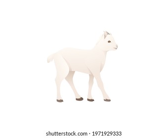 Cute goatling white goat farm animal cartoon animal design vector illustration isolated on white background