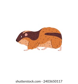 Cute going lemming tundra animal side view flat style, vector illustration isolated on white background. Decorative design element, funny little rodent, nature and wildlife