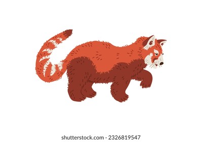 Cute going red panda side view flat style, vector illustration isolated on white background. Decorative design element, rare animal with long tail, funny character