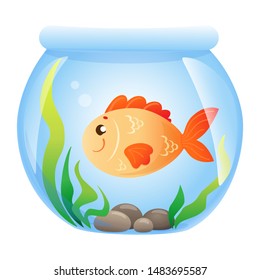 cute gold fish in glass bowl aquarium with stones and green plants