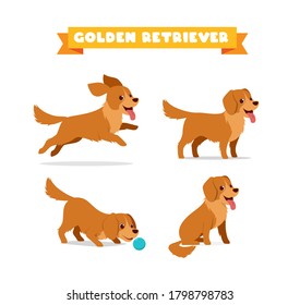 cute golden retriever dog animal pet with many pose bundle set