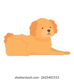 Cute golden retriever dog is lying down, relaxing with its front legs extended