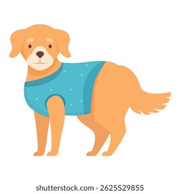 Cute golden retriever dog is standing and wearing a blue shirt