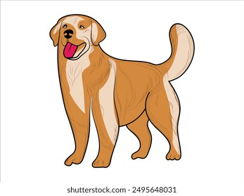 Cute Golden Retriever Dog Vector illustration. Golden Retriever hand-drawn Vector