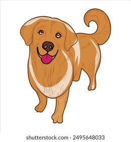 Cute Golden Retriever Dog Vector illustration. Golden Retriever hand-drawn Vector