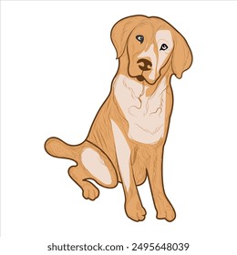 Cute Golden Retriever Dog Vector illustration. Golden Retriever hand-drawn Vector