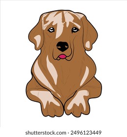 Cute Golden Retriever Dog Vector illustration. Golden Retriever hand-drawn Vector