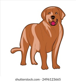 Cute Golden Retriever Dog Vector illustration. Golden Retriever hand-drawn Vector