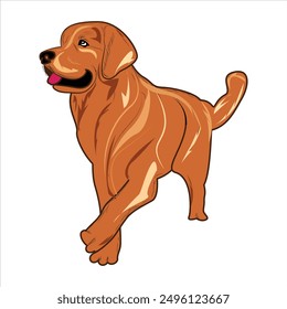 Cute Golden Retriever Dog Vector illustration. Golden Retriever hand-drawn Vector