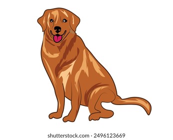 Cute Golden Retriever Dog Vector illustration. Golden Retriever hand-drawn Vector