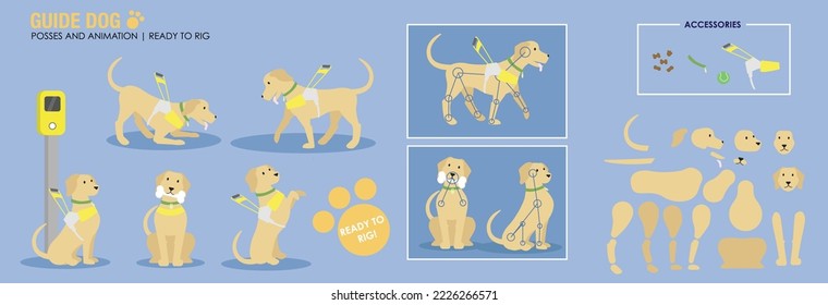 Cute Golden Retriever Guide Dog With Harness Various Poses. Ready To Animate Vector Ready For Rigging And Animation. Working Dog Cartoon With Accessories. 