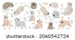 Cute Golden Retriever and Labrador Retriever dog hand drawn vector set. Cartoon dog or puppy characters design collection with flat color in different poses.