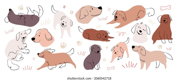 Cute Golden Retriever   Labrador Retriever dog hand drawn vector set  Cartoon dog puppy characters design collection and flat color in different poses 