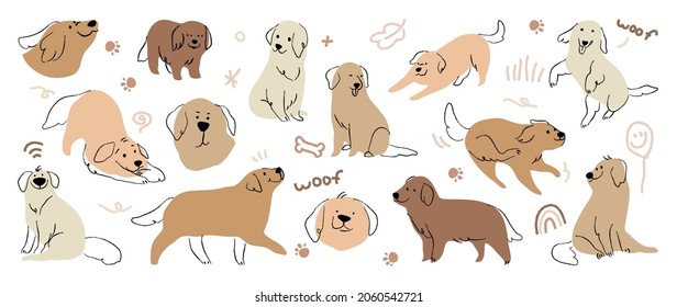 Cute Golden Retriever   Labrador Retriever dog hand drawn vector set  Cartoon dog puppy characters design collection and flat color in different poses 