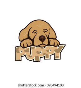 cute golden retriever puppy