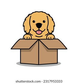 Cute golden retriever puppy is in the box cartoon, vector illustration