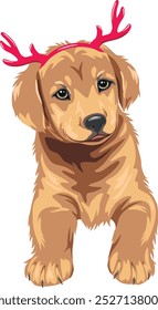 Cute Golden Retriever puppy dog with Christmas deer horns. Vector