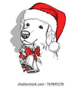 Cute Golden retriever in a red Santa Claus hat with Christmas bells. Hand drawn vector dog