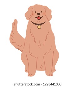 Ein süßer Goldener Retriever sitzt. Haustier, Vektorgrafik.