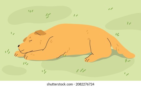 Cute golden retriever sleeping on the grass.  Hand drawn vector colorful flat cartoon style illustration