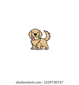 Cute golden retriever with tennis ball cartoon, vector illustration