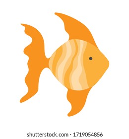 Cute goldfish in flat style on a white background. A fish that fulfills desires. Print for the design of t-shirts, products for aquariums, fish feed, fish shop logo. Cute and funny clip art fish