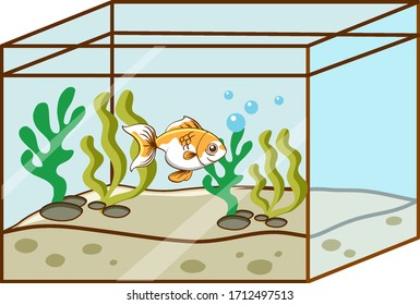 Cute goldfish swimming in the tank illustration