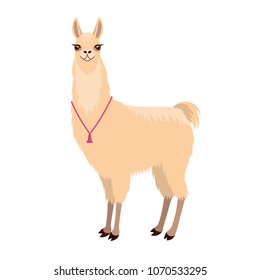 Cute good lama.Isolated on white background.Vector illustration.