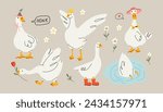 Cute goose. Adorable farm birds in different poses, funny characters and flowers. Childish print and poster, kids textile and nursery decor. Stickers set, vector cartoon flat isolated illustration