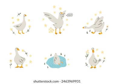 Cute goose. Adorable farm birds in different poses, funny characters and flowers. Childish print and poster, kids textile and nursery decor. Stickers set, vector cartoon flat isolated illustration