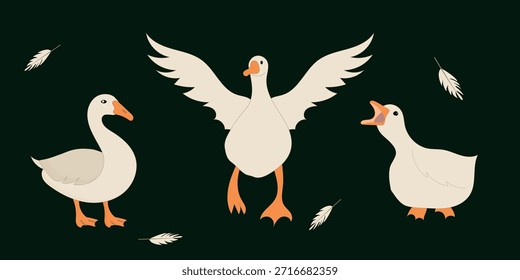 Cute Goose Cartoon Set in Different Poses, Farm Bird Illustration