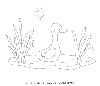 Cute goose character, floating duck, line art, hand drawn illustration for coloring book or page. Pond or swamp