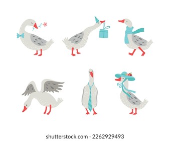 Cute goose character with flower, gift box, scarf and hat set. Domestic fowl in various poses cartoon vector illustration