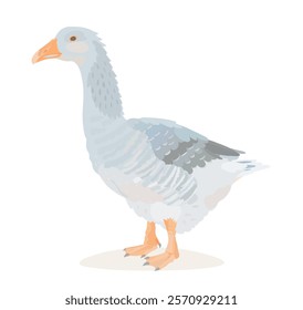 Ilustração de personagem de Goose bonito. Pássaro de fazenda de vetor de desenhos animados.