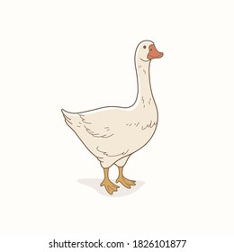 Cute Goose. Contour Vector Illustration.